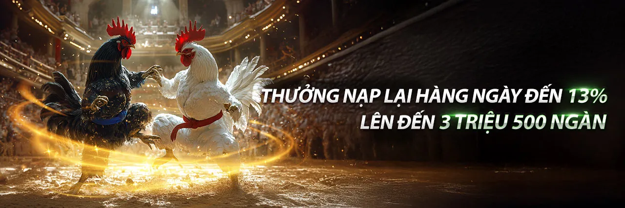 Đá Gà Campuchia C3 – Sân đấu kịch tính